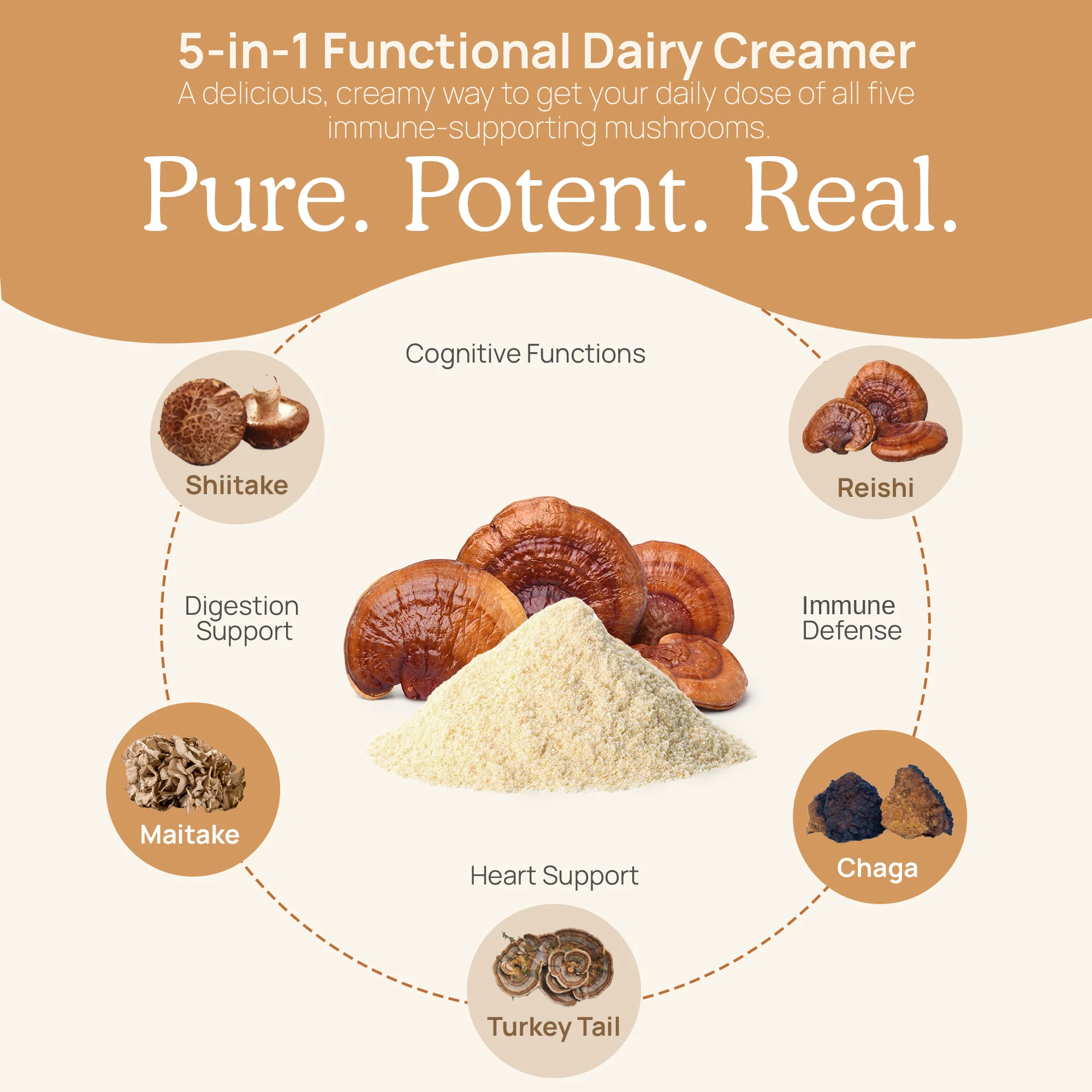 Functional Dairy Creamer - 12 Units - Image 7
