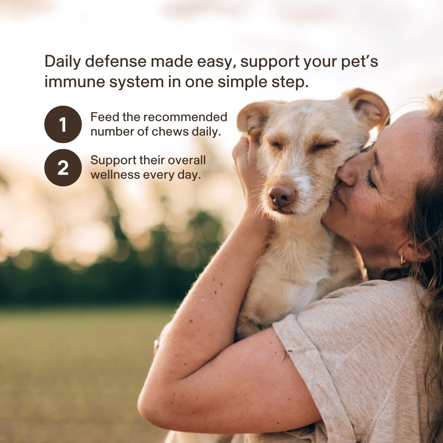 Mushroom Immune Pet Chews - Image 4