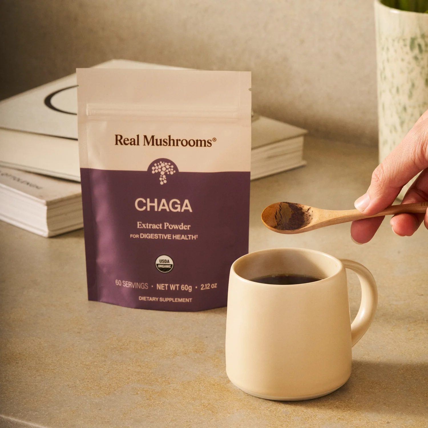 Organic Chaga Extract Powder - Image 3