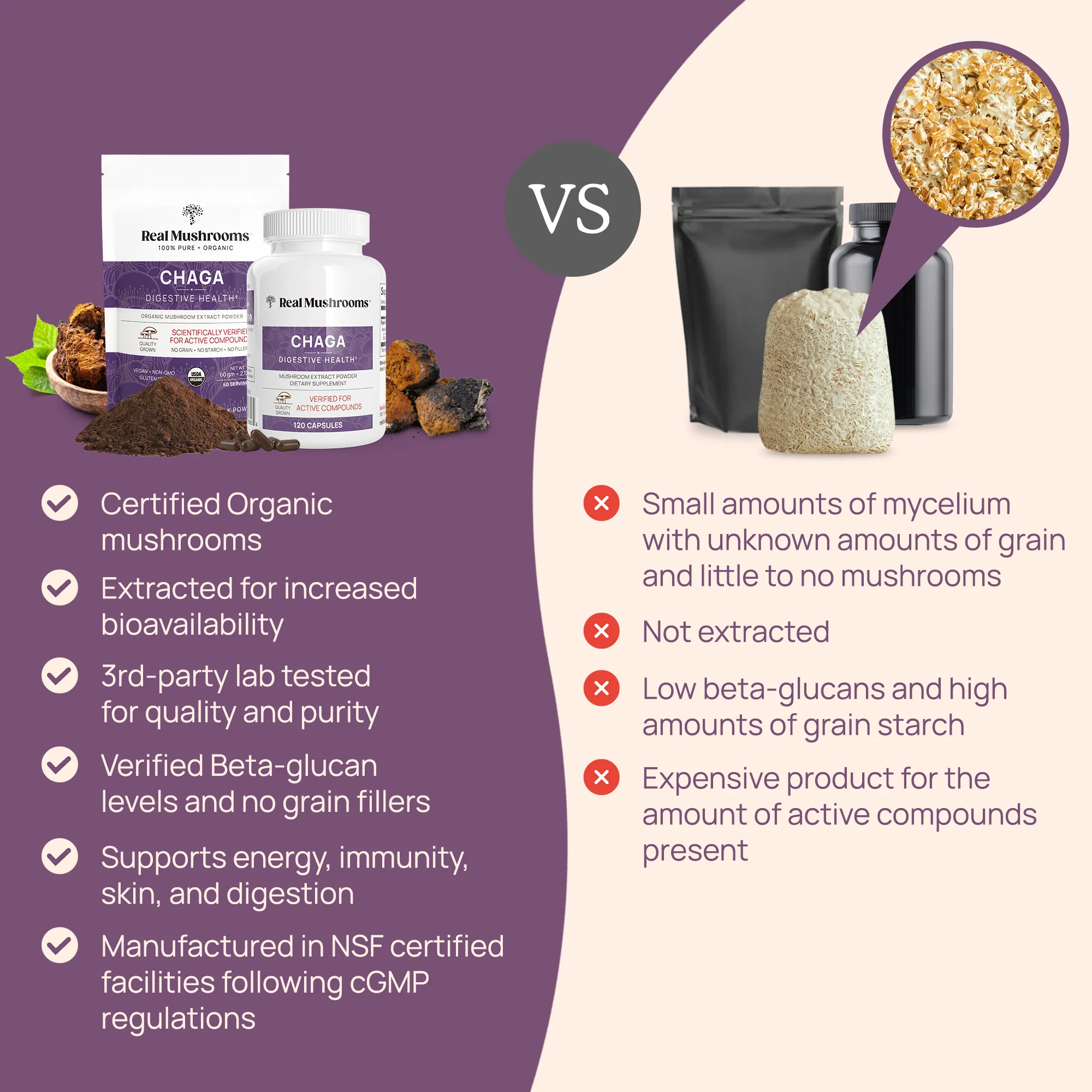 Organic Chaga Extract Powder for Pets - Image 3