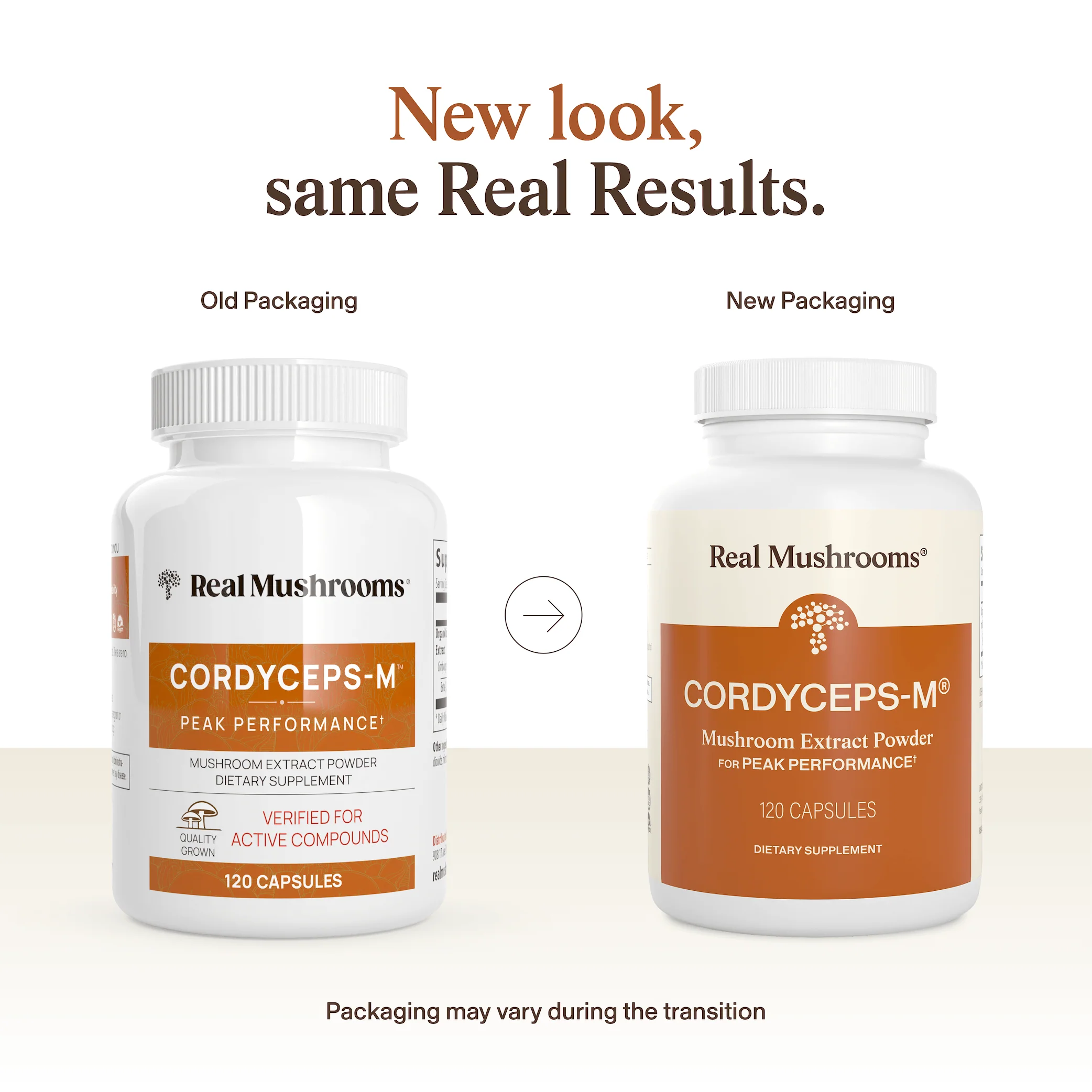 Cordyceps-M® Capsules - 12 Units - Image 4