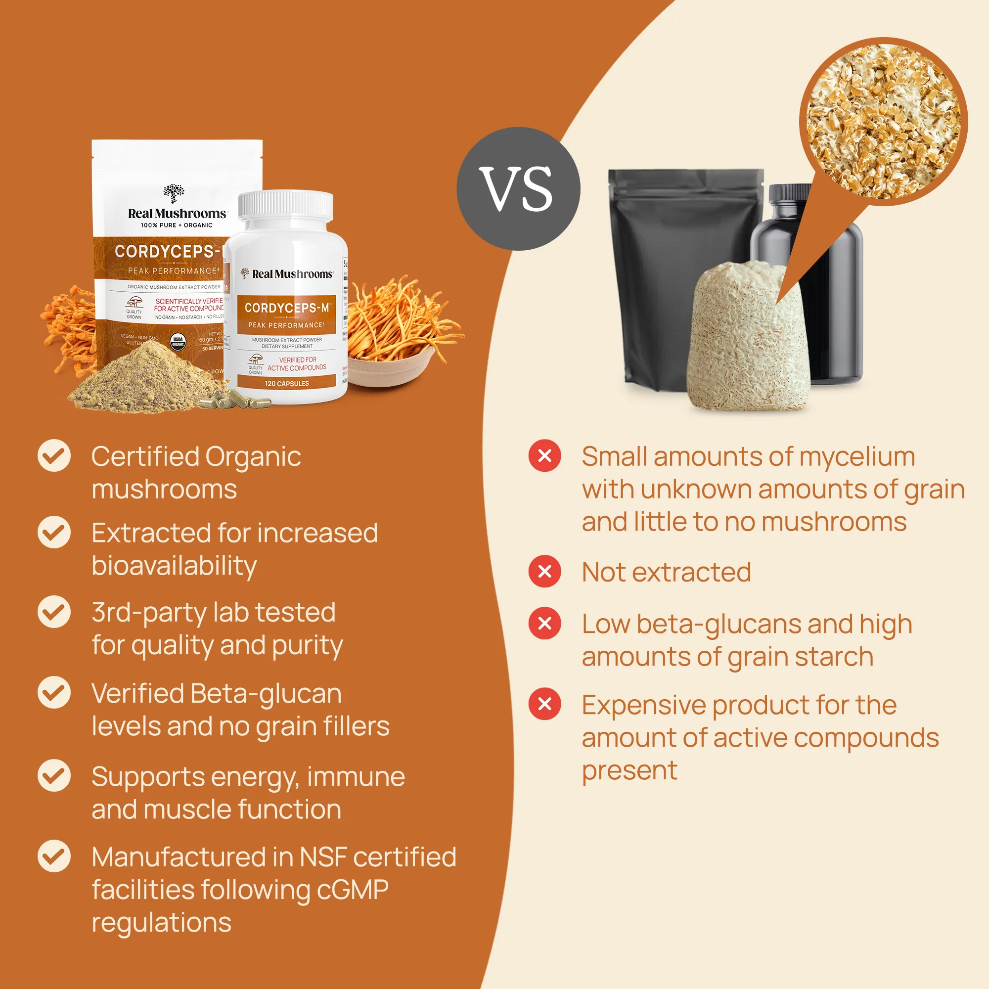 Organic Cordyceps Mushroom Extract Powder for Pets - Image 3