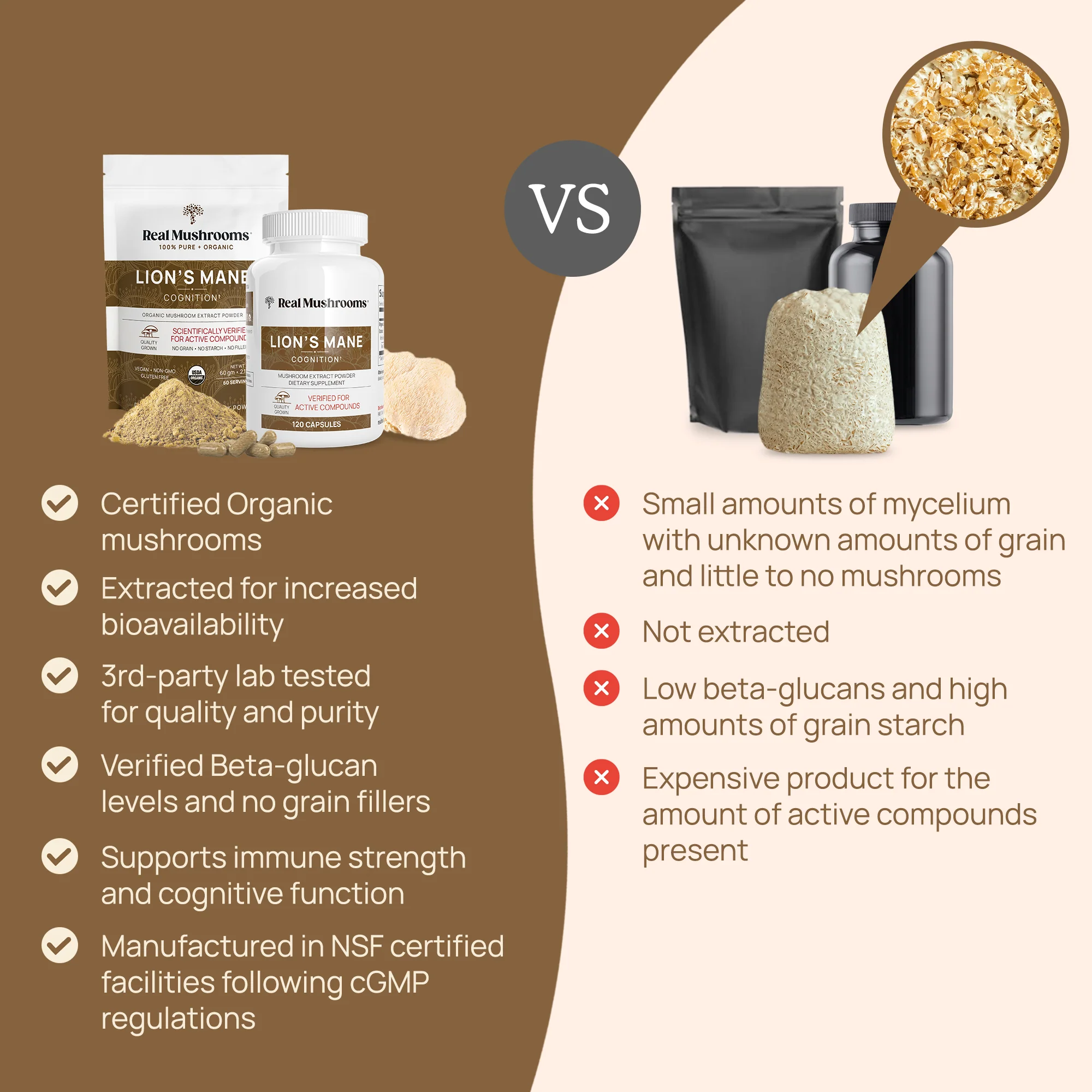 Organic Lions Mane Mushroom Powder for Pets - Image 4