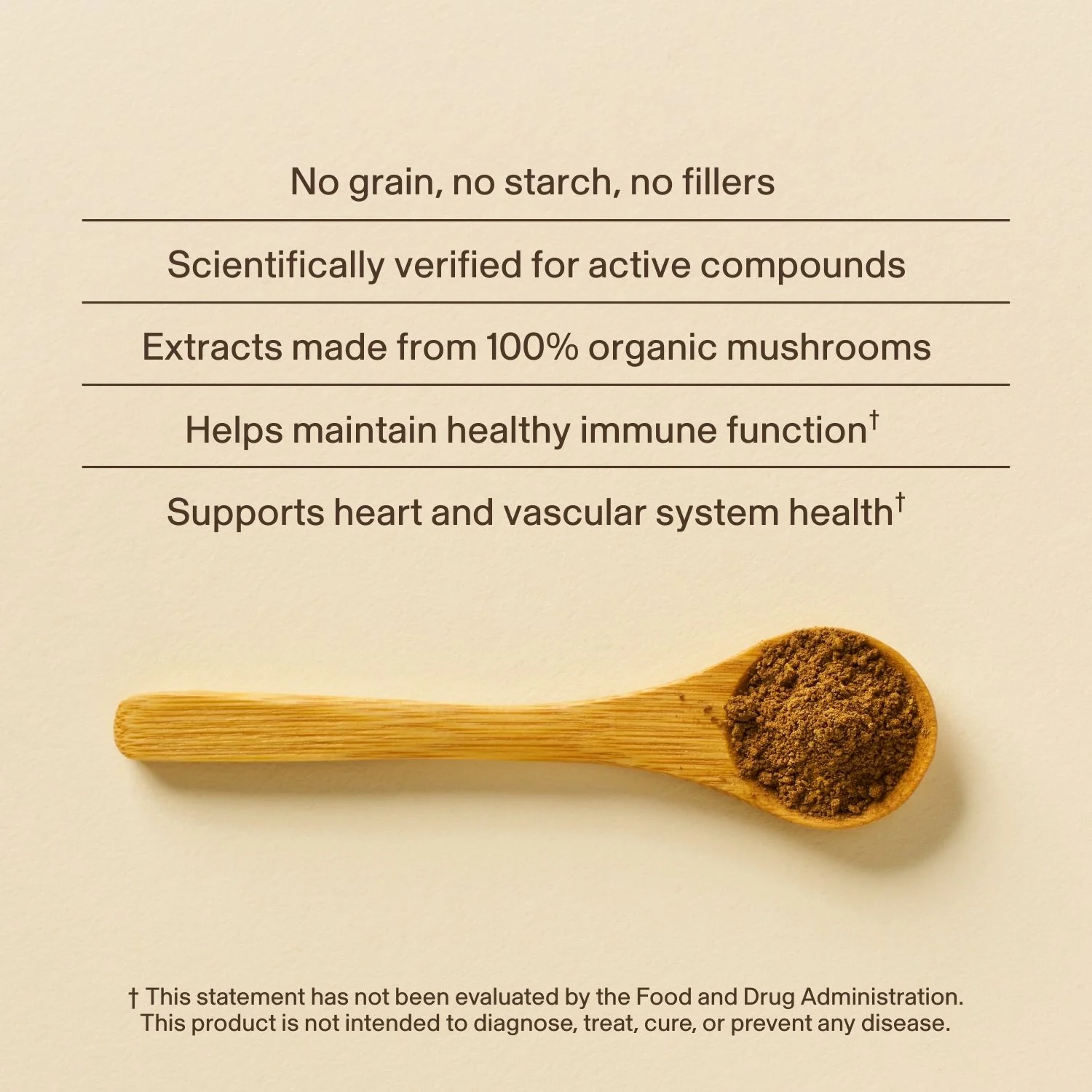 Organic Reishi Mushroom Powder – Bulk Extract - Image 5