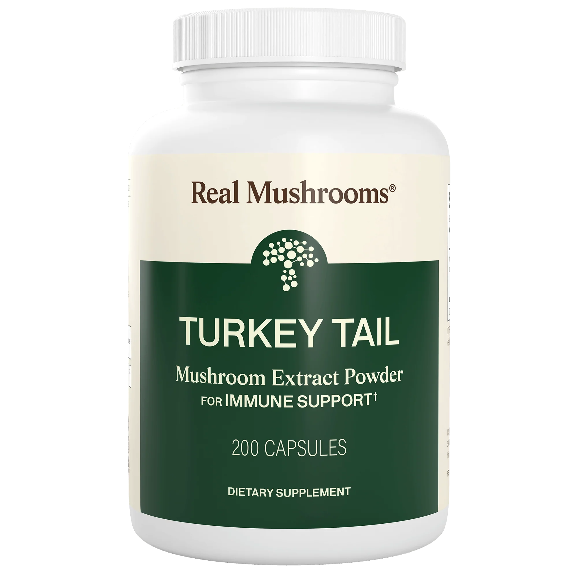 Turkey Tail Mushroom Capsules - Image 11