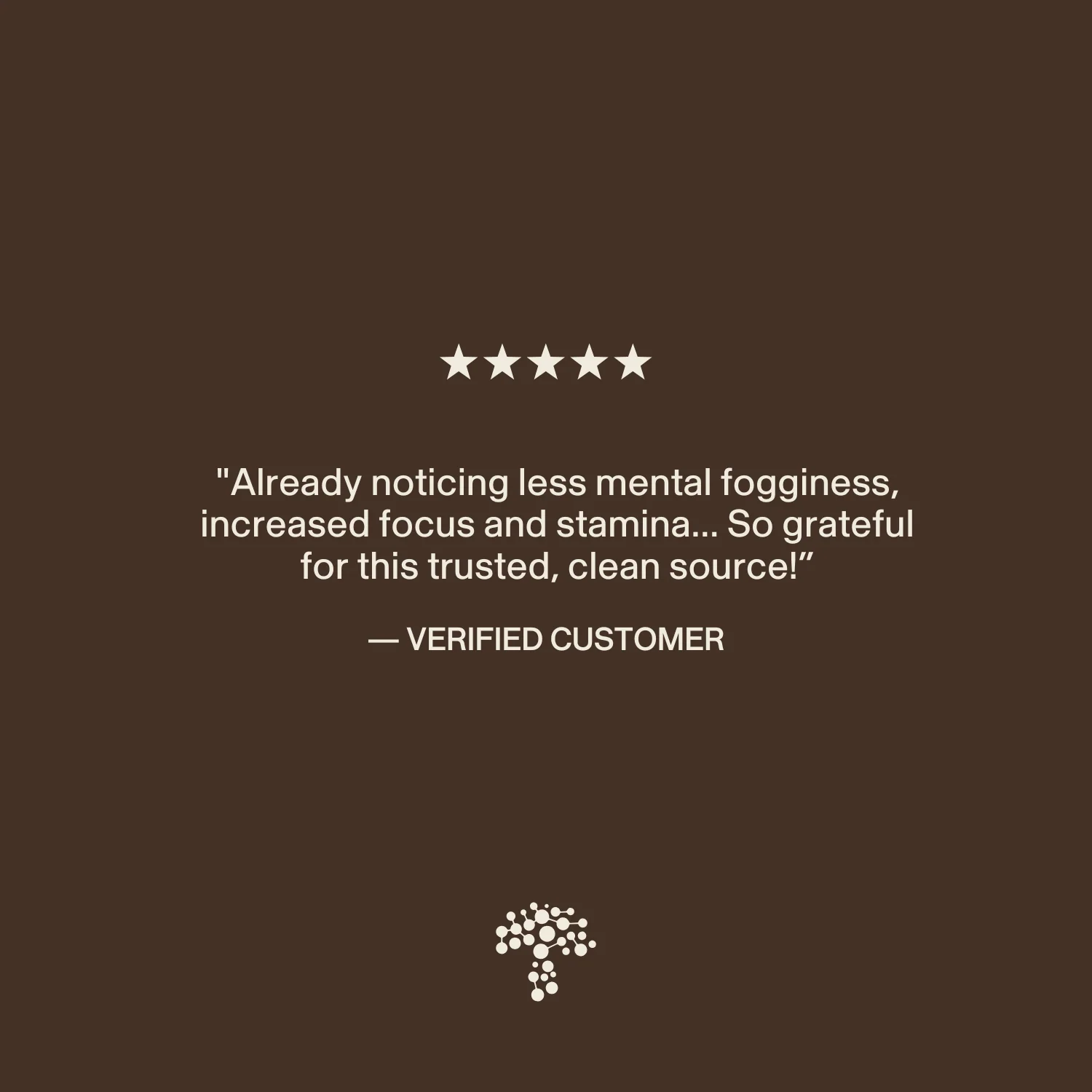 Organic Lion's Mane Extract Capsules - Image 9